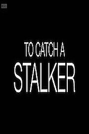 To Catch a Stalker