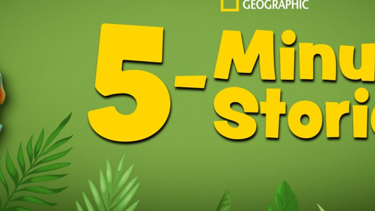 5-Minute Stories