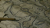 The Lost Continent