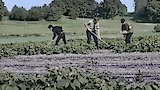 Reshaping Nature