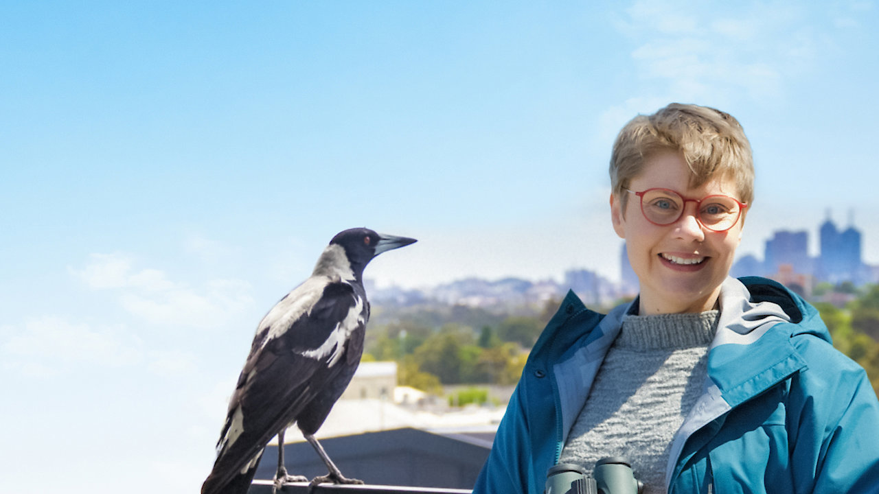 The Secret Lives of our Urban Birds