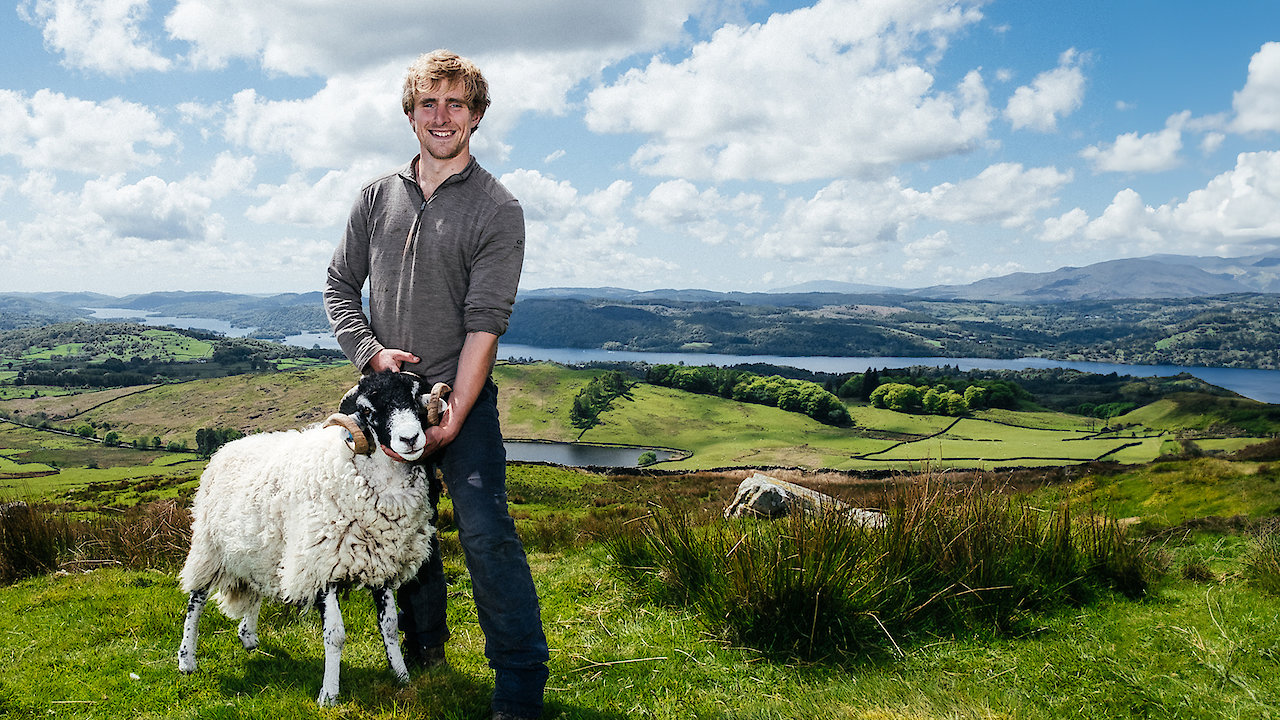 A Year On The Farm