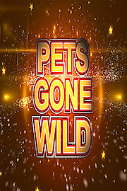 Pets Gone Wild