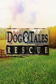 Dog Tales Rescue