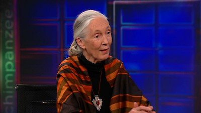 The Daily Show with Jon Stewart Season 17 Episode 88