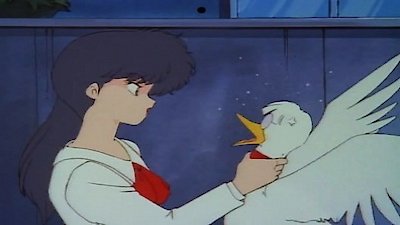 Ranma 1/2 Season 4 Episode 20