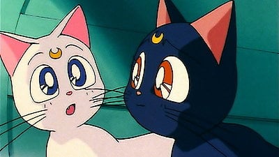 Sailor Moon Season 2 Episode 79