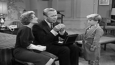 The Dick Van Dyke Show Season 1 Episode 8