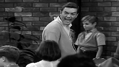 The Dick Van Dyke Show Season 3 Episode 18