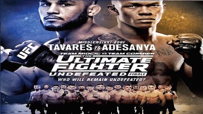 Ultimate fighter season hot sale 5 free online