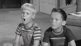 Watch Dennis the Menace Season 1 Episode 5 - Innocents In Space Online Now