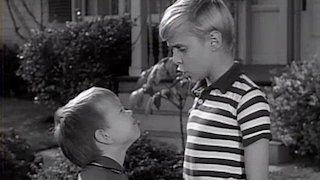 Watch Dennis the Menace Online - Full Episodes of Season 4 to 1 | Yidio