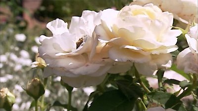 The Real Housewives of Atlanta Season 4 Episode 2