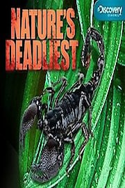 Nature's Deadliest