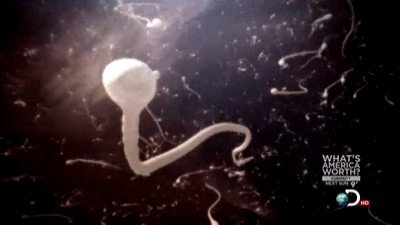 Curiosity Season 1 Episode 15