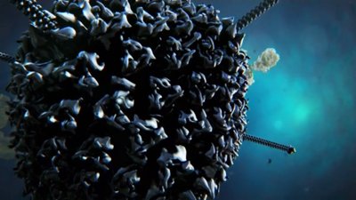 Curiosity Season 2 Episode 5