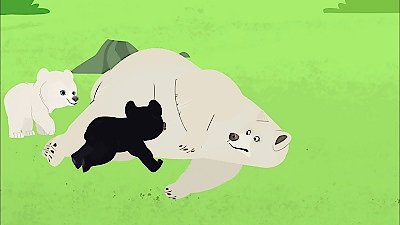 Watch Wild Kratts Season 4 Episode 7 - Spirit Bear Online Now