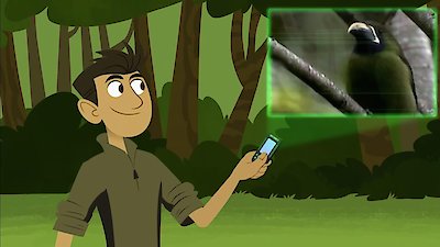 Wild Kratts Season 1 Episode 19