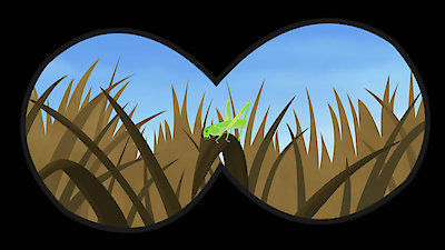 Wild Kratts Season 1 Episode 31