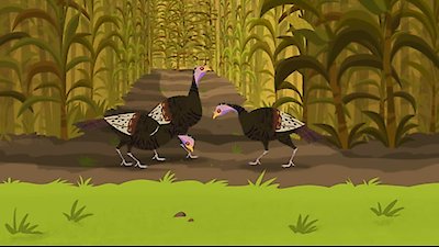 Wild Kratts Season 2 Episode 6