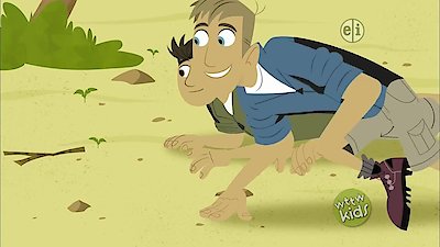 Wild Kratts Season 3 Episode 1