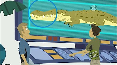 Wild Kratts Season 3 Episode 11