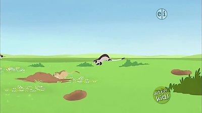 Wild Kratts Season 3 Episode 10