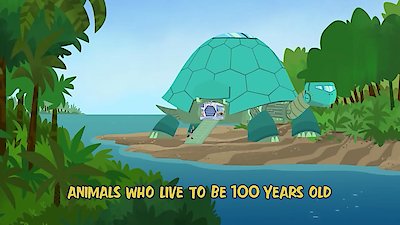 Wild Kratts Season 4 Episode 6
