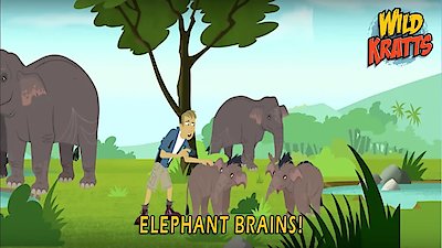 Wild Kratts Season 5 Episode 8