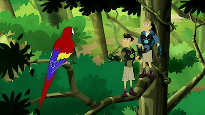 Wild Kratts Season 6 Episode 11