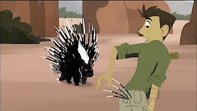 Wild Kratts Season 1 Episode 40