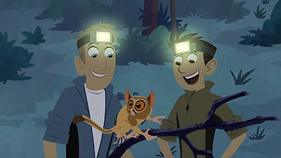 Wild Kratts Season 1 Episode 39