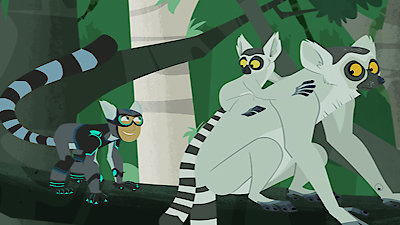 Wild Kratts Season 3 Episode 19