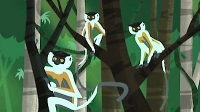 Wild Kratts Season 3 Episode 25