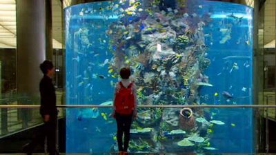 Listen to My Heart Season 1 Episode 10