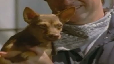 Power Rangers Season 10 Episode 33