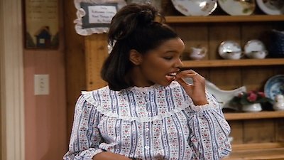 Family Matters Season 3 Episode 17