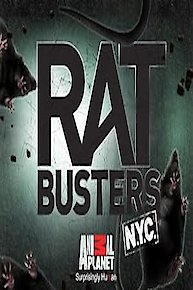 Rat Busters NYC