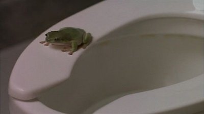 Ally McBeal Season 2 Episode 5