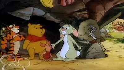 The New Adventures of Winnie the Pooh Season 3 Episode 18