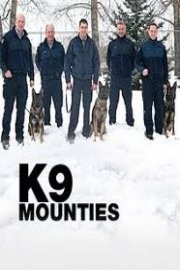K9 Mounties