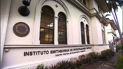 Stories from the Vaults Season 2 Episode 4