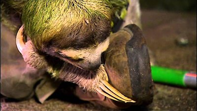 Stories from the Vaults Season 2 Episode 3