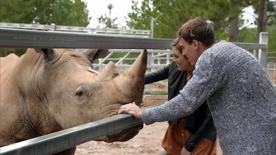 The Bachelorette Season 2 Episode 7