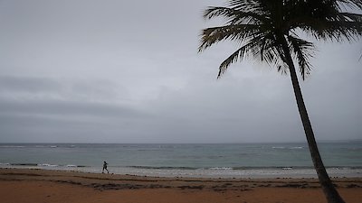 PBS Newshour Season 2019 Episode 174