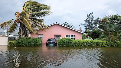 PBS Newshour Season 2019 Episode 177