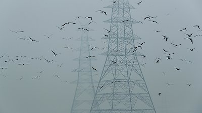 PBS Newshour Season 2019 Episode 237