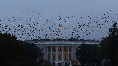 PBS Newshour Season 2020 Episode 221