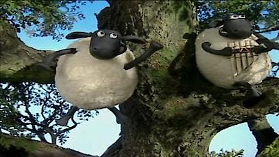 Shaun the Sheep Season 1 Episode 29