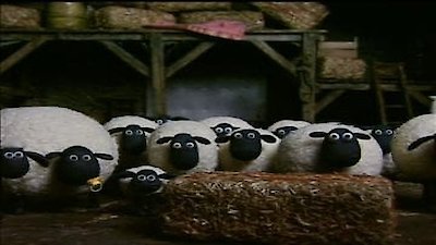 Shaun the Sheep Season 1 Episode 25